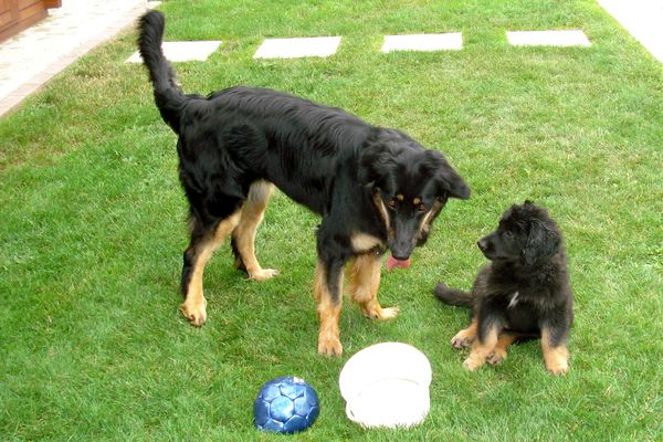 Doreen mit ihrem neuen Familienmitglied Alena